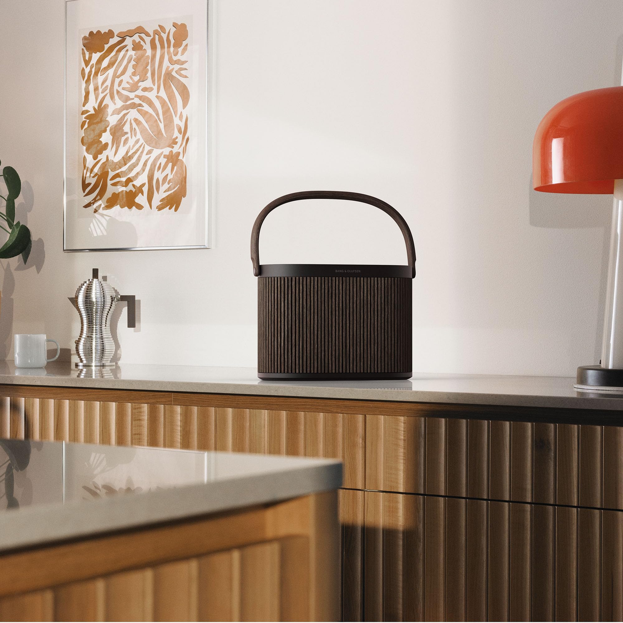 Bang & Olufsen Bluetooth Speaker