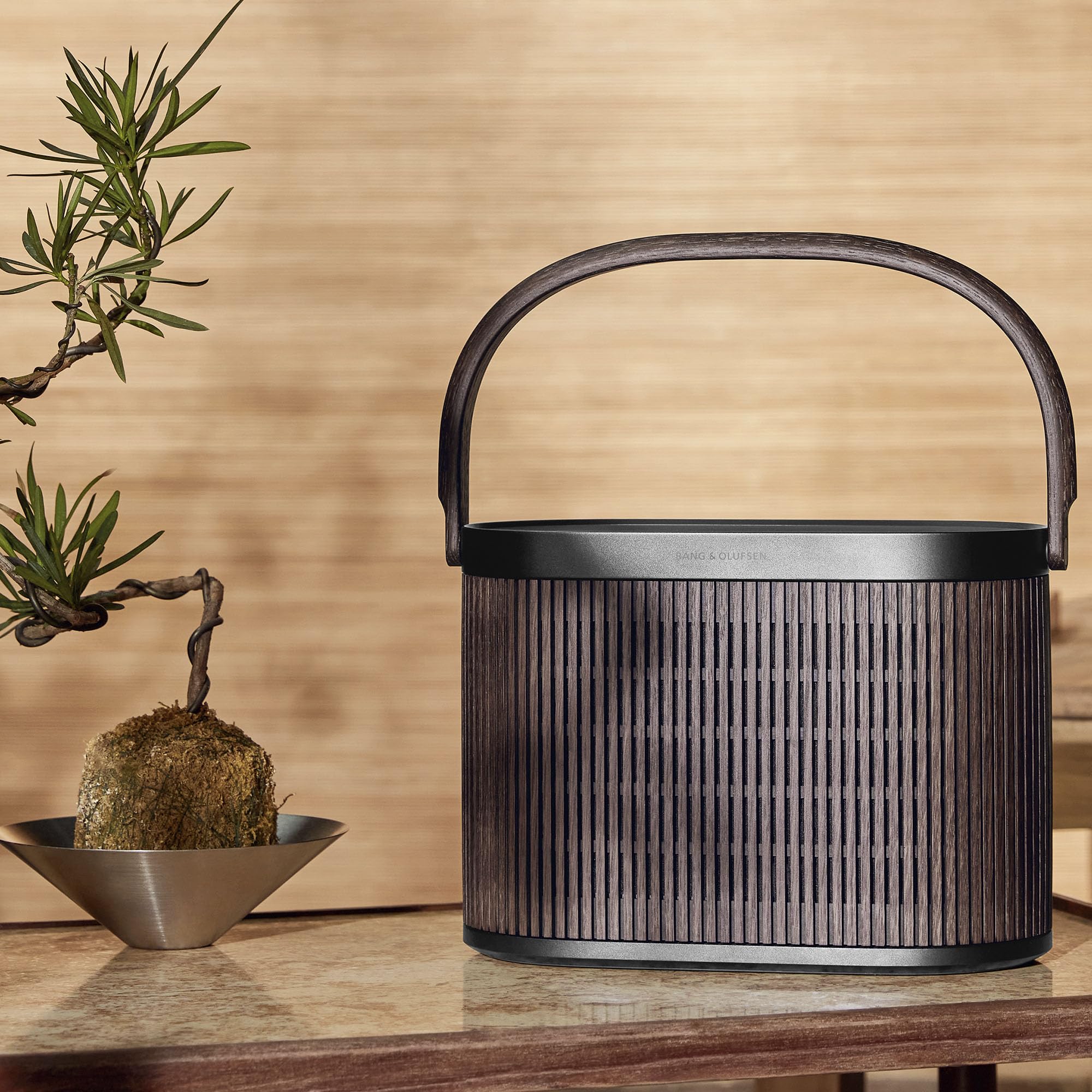 Bang & Olufsen Bluetooth Speaker